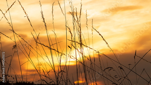 Gr  ser im Sonnenuntergang