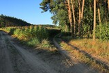Rozdroże