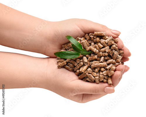 Female hands with pile of wood pellets on white background © Pixel-Shot