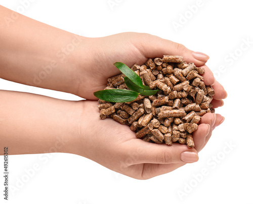 Female hands with pile of wood pellets on white background