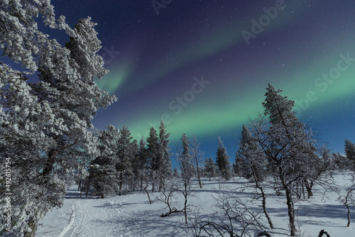Aurora borealis Northern Lights in Lapland, Finland photo