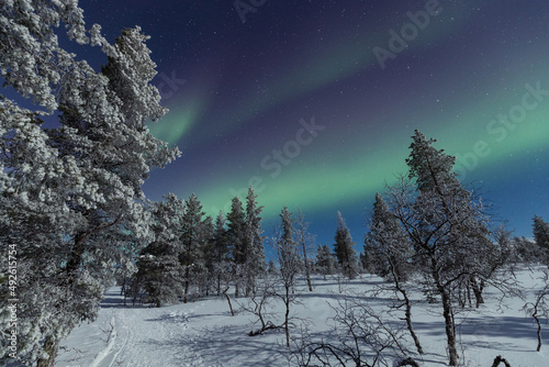 Принти на полотні Aurora borealis Northern Lights in Lapland, Finland
