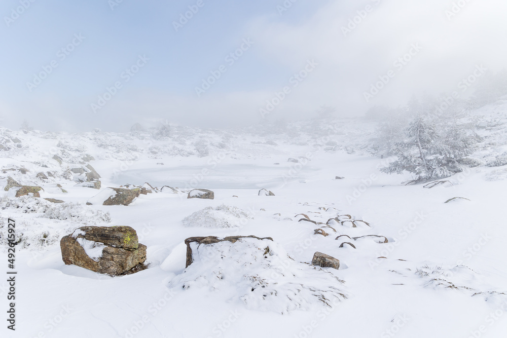 snow covered trees in the mountains of guadarrama national park, in Madrid, called Lagunas de Peñalara