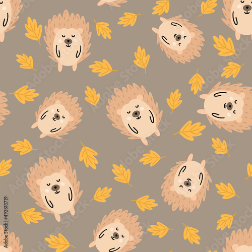 Wallpaper Mural Hedgehogs cute seamless pattern. Vector illustration for fabric design, gift paper, baby clothes, textiles, cards. Torontodigital.ca