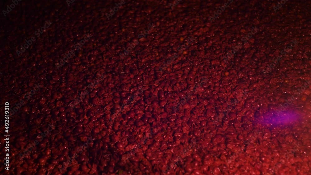 Fermentation raisin