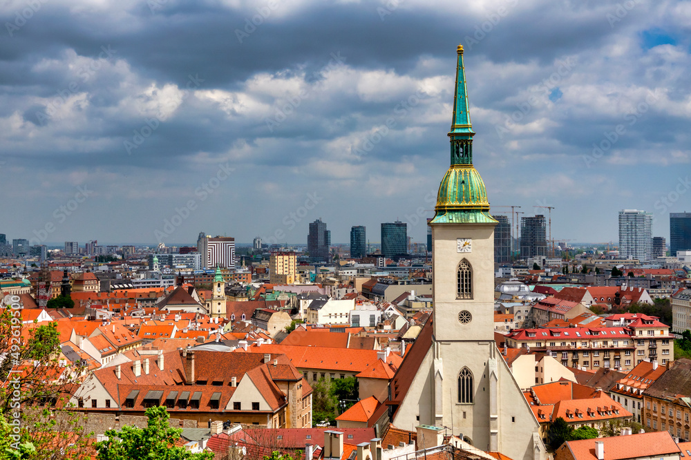 Fototapeta premium St Martin Cathedral