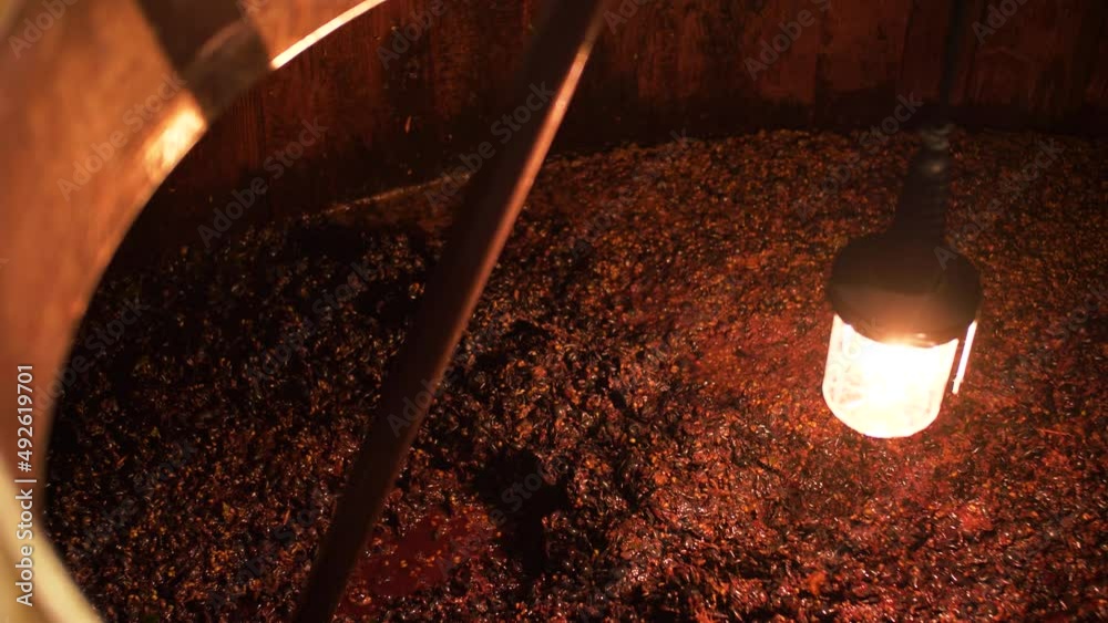 Pigeage raisin fermentation vin