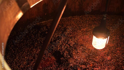 Pigeage raisin fermentation vin