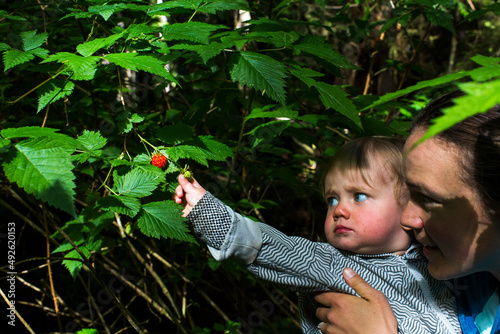 A young woman holds a toddler reaching for a red berry in a forest photo