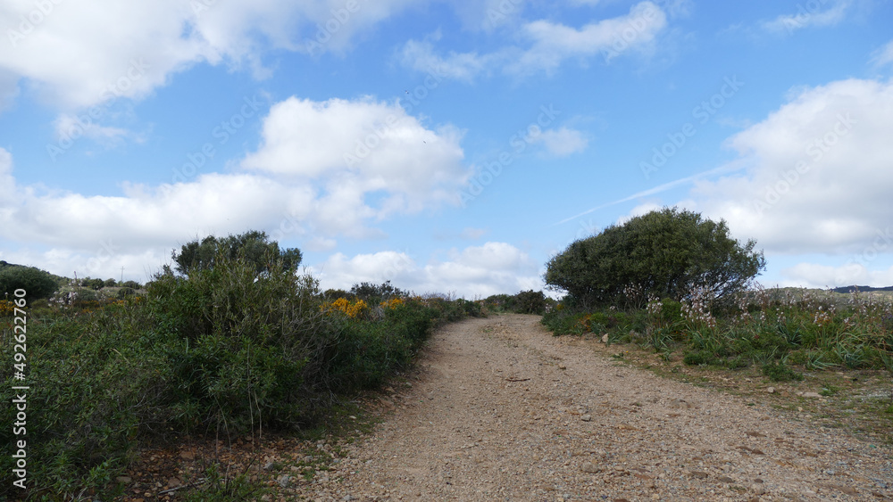 Paesaggio di Sardegna