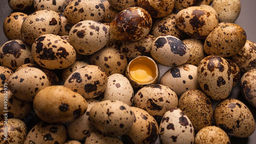 Obraz premium Group of quail eggs as a background. Raw eggs.