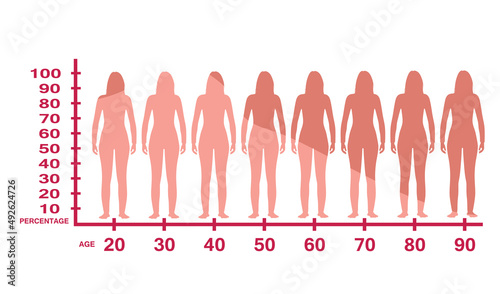 Woman estrogen level. vector illustration