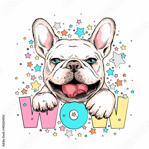 Cute french bulldog head on a background of stars. WOW illustration. Image for printing on any surface	