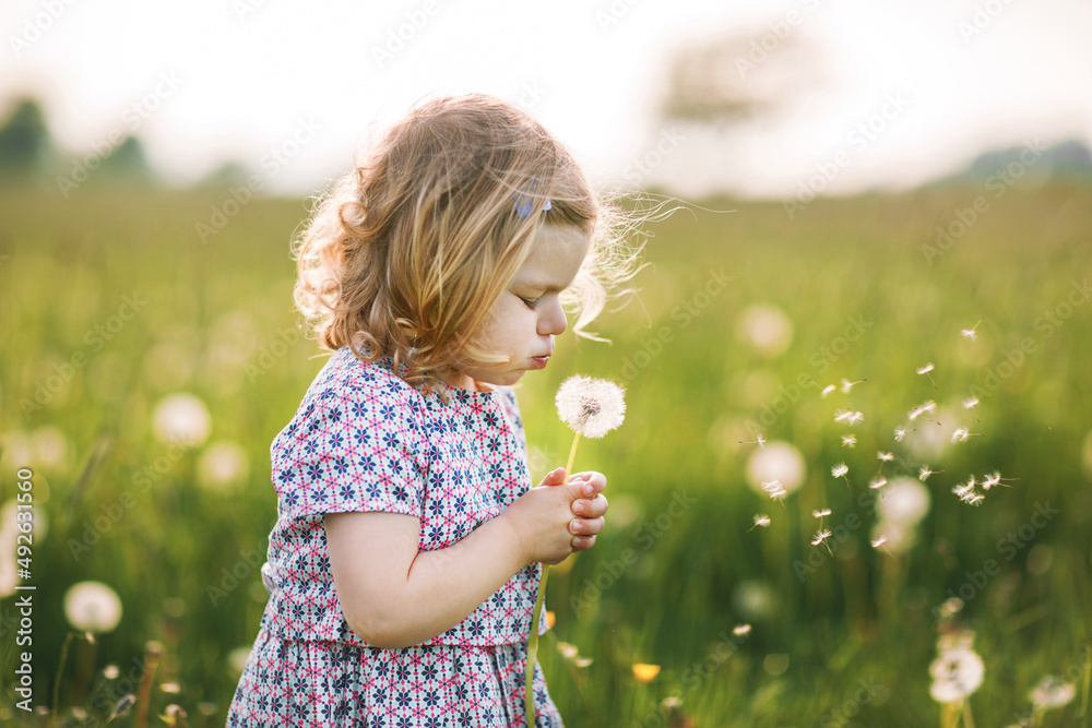 Adorable cute little baby girl blowing on a dandelion flower on the nature in the summer. Happy healthy beautiful toddler child with blowball, having fun. Bright sunset light, active kid. Adorable cute little baby girl blowing on a dandelion flower on the nature in the summer. Happy healthy beautiful toddler child with blowball, having fun. Bright sunset light, active kid.
