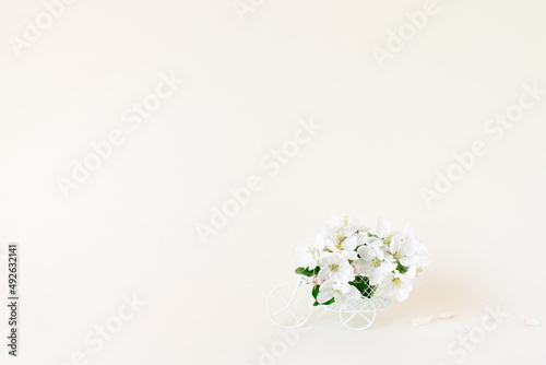 A bicycle toy with white flowers on a white background. The concept of celebration, banner. Copy space. The concept of the beginning of spring and the holiday