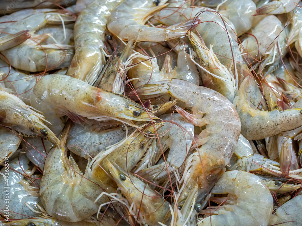 Raw shrimps in cool keep Raw shrimps in cool keep