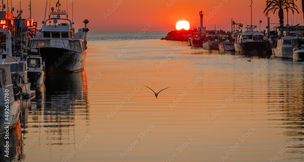 Coucher de soleil dans  le port du Grau du Roi, Camargue, Sud de la France.