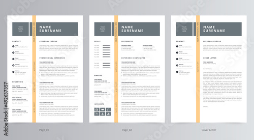 Professional Resume/CV and Cover Letter Template