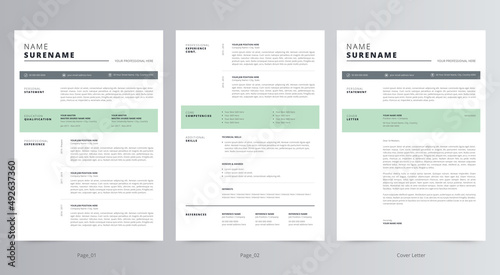 Professional Resume/CV and Cover Letter Template