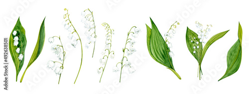 Watercolor clip art. Lilies of the valley. Twigs and leaves. White spring flowers.