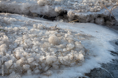 Vecdaugava nature reserve meadows covered by snow and ice photo