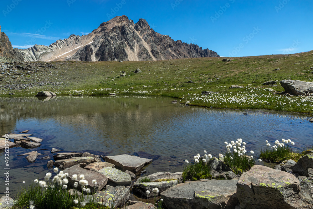 Paysage  du Massif des Cerces , Tête de la Cassille  et Lacs des Crouserocs , en été  , Hautes-Alpes , France