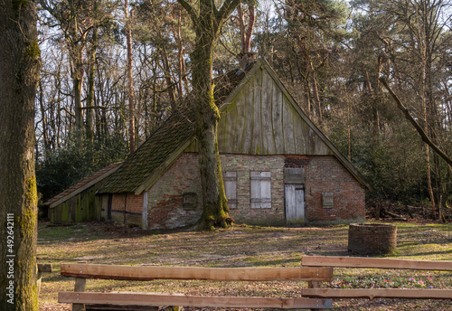 old barn in the forest in the netherlands during winter