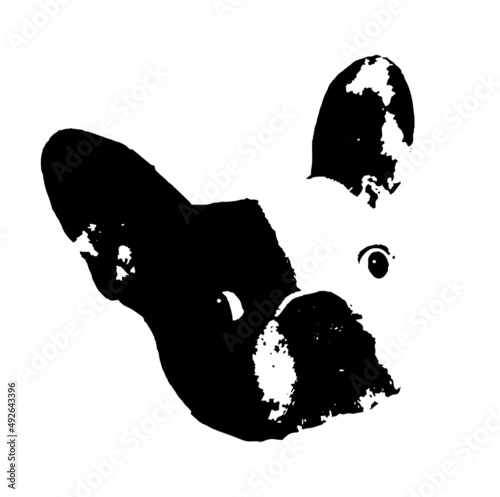 Cara Perro Bulldog Francés Arte