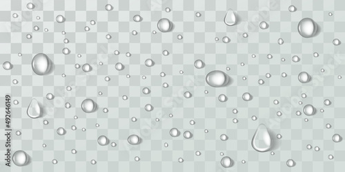 Raindrops, splashes, condensation on a transparent background. Vector template. Abstract wet texture, scattered pure aqua blobs pattern