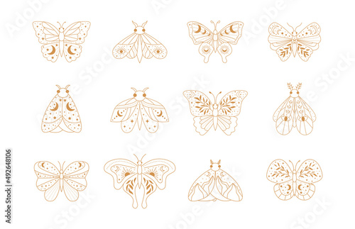 Magical Butterfly with Moon and stars	
