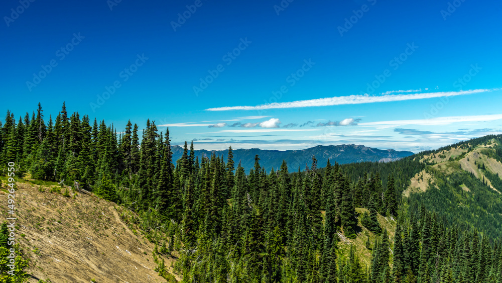 Olympic National Park Hurricane Ridge, Washington State Olympic National Park Hurricane Ridge, Washington State