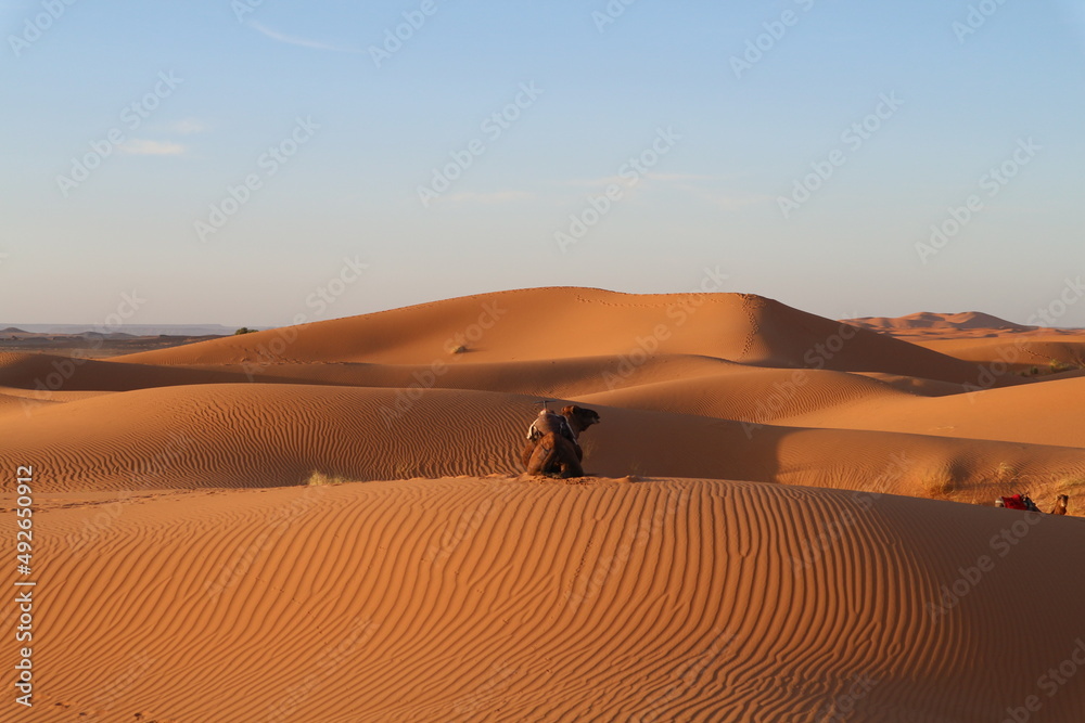 sunrise, golden hour, erg chebbi, sand dunes, sahara, desert, morocco, traveling, autumn, fall, roadtrip, sand, dune, landscape, dunes, nature, sky, dry, travel, sand dune, hot, sunset, hill, adventur