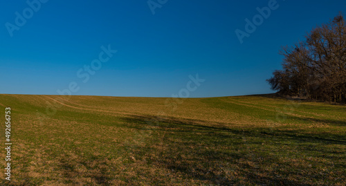 Green field and blue sky in winter sunny morning in Litovel area photo