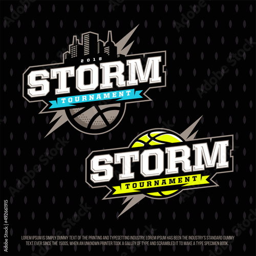 Modern professional emblems - logos, with the image of a basketball