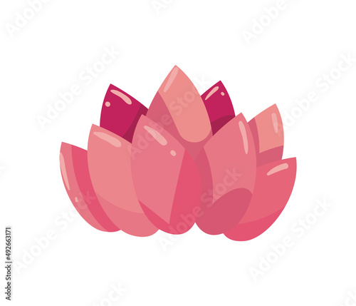 flat pink lotus illustration
