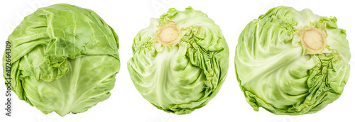 fresh young green cabbage set isolated on white background. cabbage head collection cut out