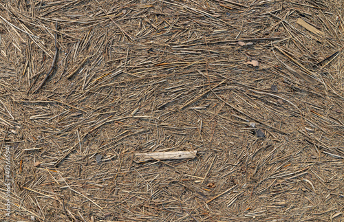 Tightly compacted and dense stick debris detritus pattern background deposited by wind and water