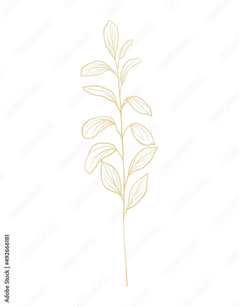 Fototapeta premium Gold line botanical illustration of branch