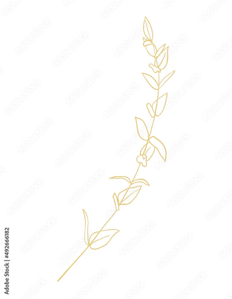 Gold line botanical illustration of branch Gold line botanical illustration of branch