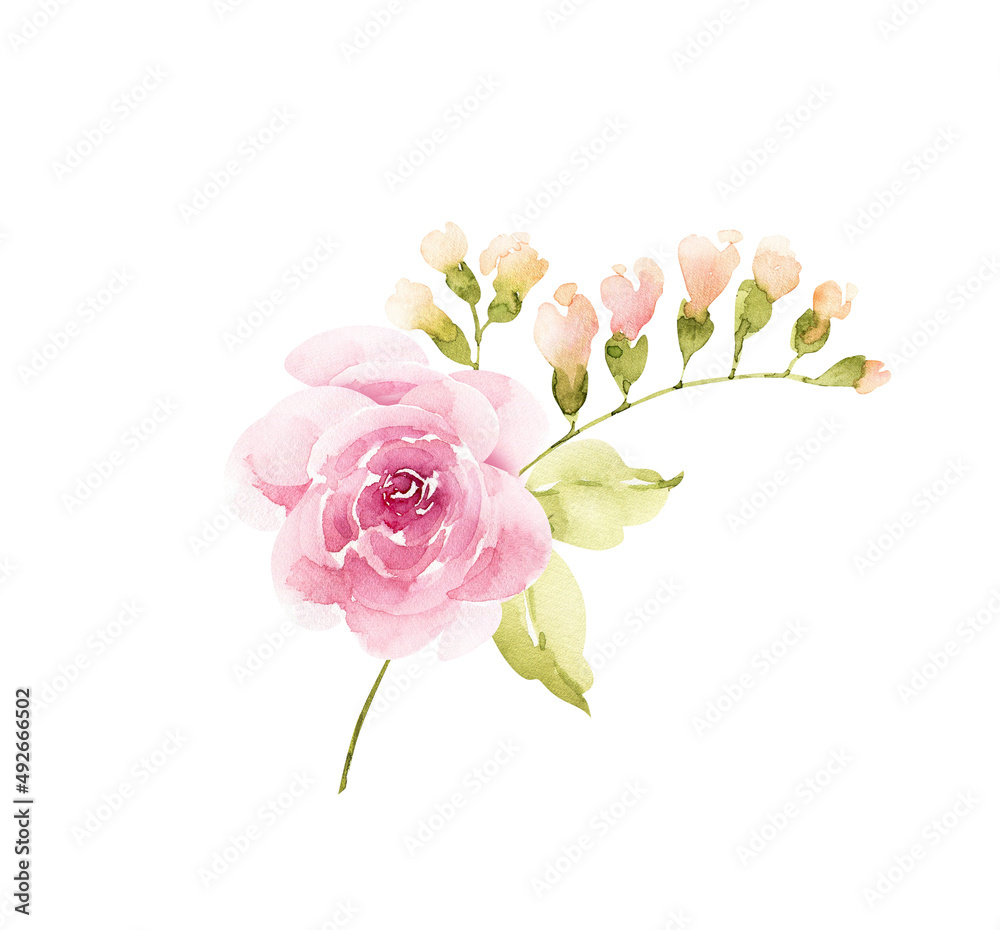 Bouquet of pink flowers and plants on a white background. hand painted .