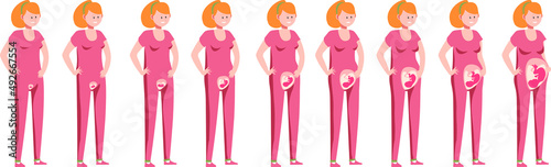 Sequence of pregnancy. Pregnant woman vector