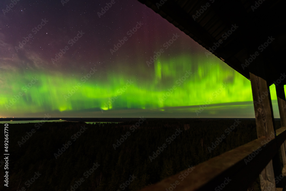 Aurora borealis, The Northern lights at the lake Usma and forest, Latvia. Wooden watching tower. Aerial view.