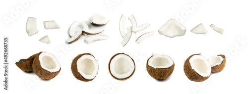 Obraz na płótnie Coconut Pieces Isolated, Fresh Brown Cocos, Coco Nut