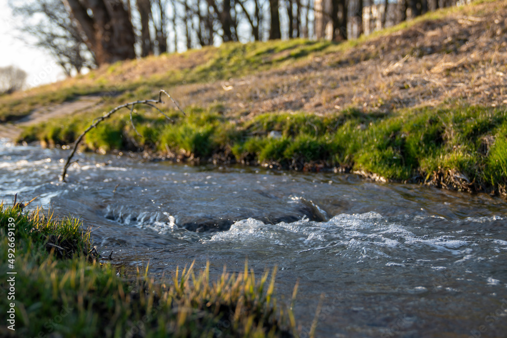 Fototapeta premium Water in river with grass