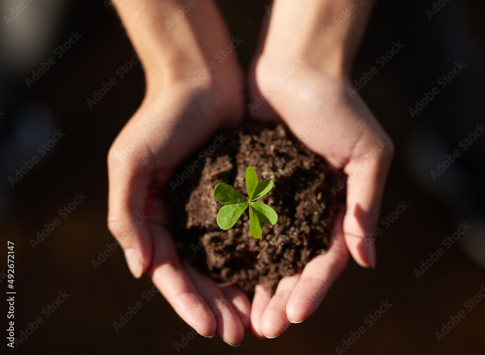 The key to a greener planet is in your hands. Shot of an unidentifiable young woman holding a seedling in a pile of soil. The key to a greener planet is in your hands. Shot of an unidentifiable young woman holding a seedling in a pile of soil.