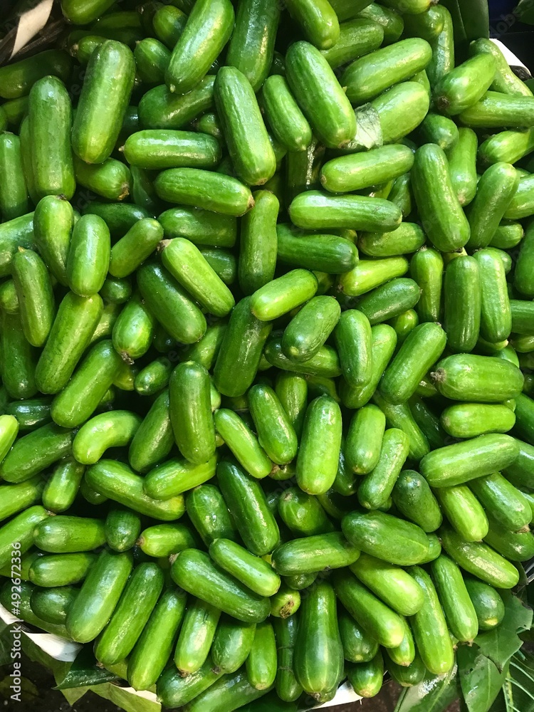 A bunch of cucumbers, organic healthy food A bunch of cucumbers, organic healthy food