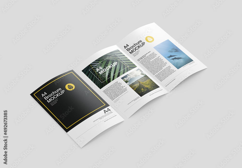 Matte Magazine Mockup Stock Template | Adobe Stock