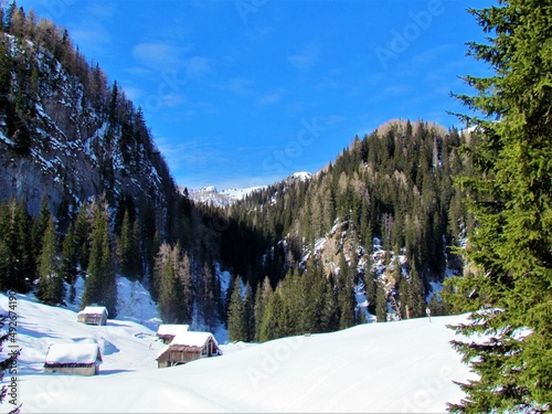Scenic view of snow covered meadow at Planina Jezero in Triglav national park and Julian alps Slovenia with a forest covered valley and traditional Bohinj shepards huts standing on the meadow © kato08