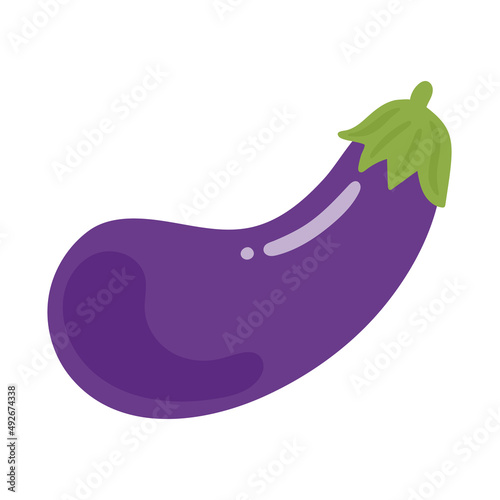 Vector eggplant. Vegetable illustration for farm market menu