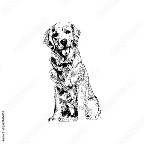 dog Vector drawing illustration black and white engrave isolated illustration